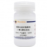 碧云天 细胞与组织裂解液(一氧化氮检测用)(S3090)