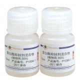 碧云天 蛋白酶磷酸酶抑制剂混合物(植物样品抽提用, 50X)(P1056)