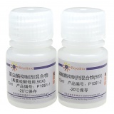 碧云天 蛋白酶磷酸酶抑制剂混合物(真菌或酵母抽提用, 50X)(P1061)