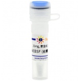 碧云天 AEBSF (丝氨酸蛋白酶抑制剂)