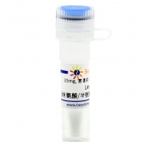 碧云天 Leupeptin (丝氨酸/半胱氨酸蛋白酶抑制剂)(SG2012-25mg)