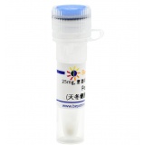 碧云天 Pepstatin A (天冬氨酸蛋白酶抑制剂)