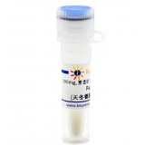 碧云天 Pepstatin A (天冬氨酸蛋白酶抑制剂)(SG2016-100mg)