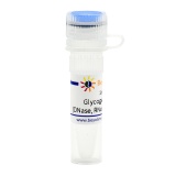 碧云天 Glycogen (DNase, RNase & Protease free)(DNA或RNA的辅助沉淀剂)(D0816-2ml)