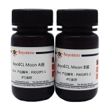 碧云天 BeyoECL Moon (极超敏ECL化学发光试剂盒)(P0018FS)