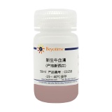 碧云天 新生牛血清(产地新西兰)(C0258)