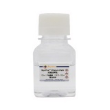 碧云天 BeyoPure Ultrapure Water (细胞培养级)(ST875-100ml)