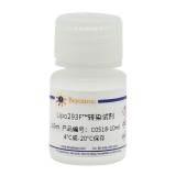 碧云天 Lipo293F转染试剂(C0518-10ml)