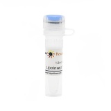 碧云天 LipoInsect转染试剂(C0551-1.5ml)