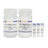 碧云天 CFDA SE细胞增殖与示踪检测试剂盒(C0051)