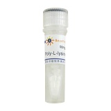 碧云天 Poly-L-lysine/多聚赖氨酸(ST509)