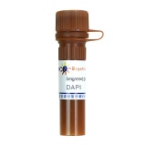 碧云天 DAPI(DAPI荧光染料)(C1002)