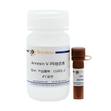 碧云天 Annexin V-PE细胞凋亡检测试剂盒(C1065L)