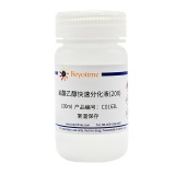 碧云天 盐酸乙醇快速分化液(20X)(C0163L)