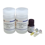 碧云天 β-半乳糖苷酶原位染色试剂盒(RG0039)