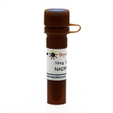 碧云天 NADPH(还原型辅酶Ⅱ四钠盐)(ST360-10mg)