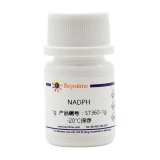 碧云天 NADPH(还原型辅酶Ⅱ四钠盐)(ST360-1g)