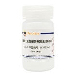 碧云天 海肾萤光素酶报告基因细胞裂解液(RG129M)