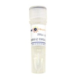 碧云天 生物素标记EMSA探针－PPAR (0.2μM)(GS072B)