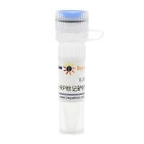 碧云天 辣根过氧化物酶标记驴抗山羊IgG(H+L)(A0181)