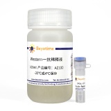 碧云天 α-Tubulin Rabbit pAb(α-Tubulin兔多抗)(AF0001)