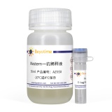 碧云天 E-tag Mouse mAb(E-tag小鼠单抗)(AF0135)