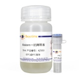 碧云天 GFP Mouse mAb(GFP小鼠单抗)(AF0159)