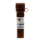 碧云天 DiO (细胞膜绿色荧光探针)(C1038)