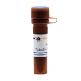 碧云天 Tubulin-Tracker Red (抗体法微管红色荧光探针)(C1050)