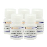 碧云天 Insulin(胰岛素)(P3375-2000IU)