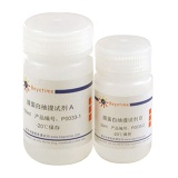 碧云天 细胞膜蛋白与细胞浆蛋白提取试剂盒(P0033)