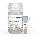 碧云天 HSP70抗体(小鼠单抗)(AH728)