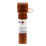 碧云天 Lyso-Tracker Green (溶酶体绿色荧光探针)(C1047S)