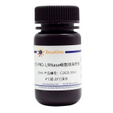 碧云天 YO-PRO-1/RNase细胞核染色液(C2025-50ml)