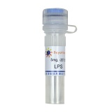 碧云天 LPS (TLR4激活剂)(S1732-5mg)