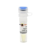 碧云天 Necrostatin-1 (TNF-alpha抑制剂)(SC4359-10mM)