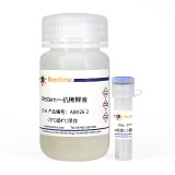 碧云天 Bax抗体(小鼠单抗)(AB026)