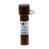 碧云天 SM-164 (XIAP抑制剂)(SC0114-5mg)