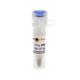 碧云天 TW-37 (Bcl-2抑制剂)(SC4354-25mg)