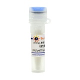 碧云天 线性聚乙烯亚胺(Polyethylenimine, Linear)(C0537-100mg)