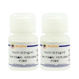碧云天 Insulin(胰岛素)(P3376-2000IU)