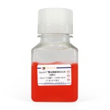 碧云天 BeyoAOF重组胰酶细胞消化液(含酚红)(C0208-100ml)