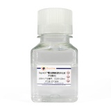 碧云天 BeyoAOF重组胰酶细胞消化液(不含酚红)(C0209-100ml)