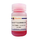碧云天 BeyoAOF无血清细胞冻存液(C0210B-50ml)