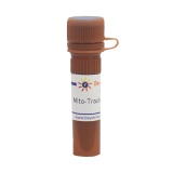 碧云天 Mito-Tracker Deep Red 633 (线粒体远红外荧光探针)(C1034-50μg)