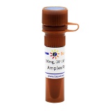 碧云天 Amplex Red (荧光红染料)(ST010-100mg)