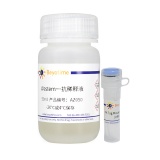 碧云天 PA Tag Mouse mAb (HRP Conjugated)(PA Tag 小鼠单抗)(AF2921)