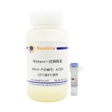 碧云天 His Tag (C-terminal Specific) Mouse mAb(His Tag (C-terminal Specific)小鼠单抗)(AF2870-200μl)