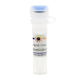 碧云天 Blasticidin S HCl (灭瘟素S)(ST018-1ml)