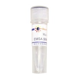 碧云天 EMSA探针－ARE (10μM)(GS013A)
